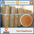 High Purity Green Tea Extract 98% Tea Polyphenols